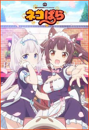 Anime for the Fans of Nekopara