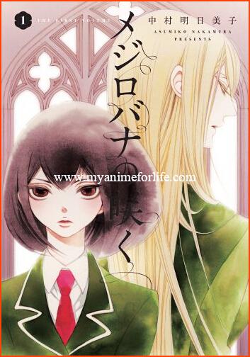 Seven Seas Announces License Acquisition of Yuri Manga, A WHITE ROSE IN BLOOM!