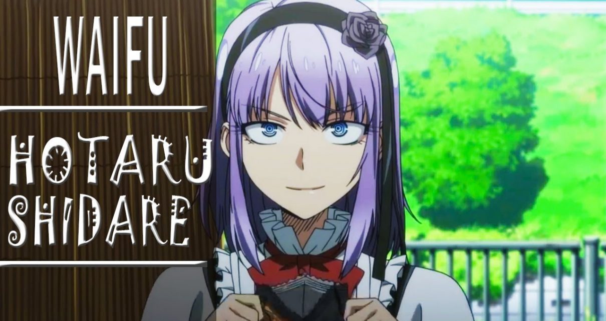 The Best Waifu Hotaru Shidare - Dagashi Kashi