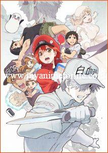 Hataraku Saibou!! (Cells at Work! 2nd Season)! Releases New Promo