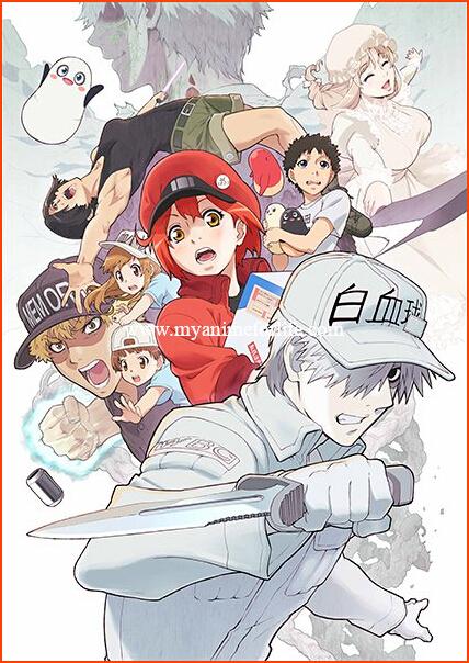 Hataraku Saibou!! (Cells at Work! 2nd Season)! Releases New Promo