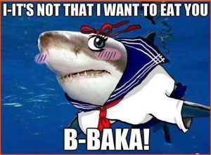 Baka 