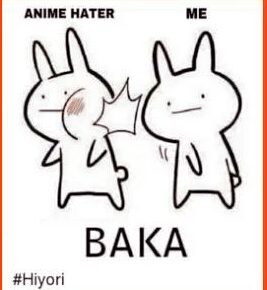 What Does Baka Mean?