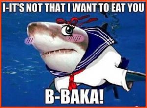 What Does Baka Mean?