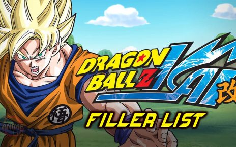 Dragon Ball Z Kai Filler List