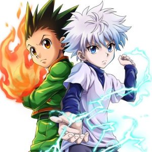 Hunter X Hunter Anime Fight