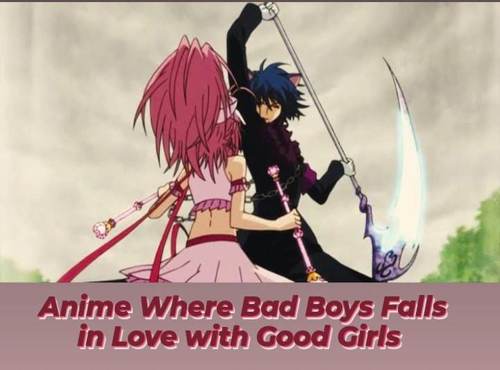 Anime Where Bad Boys Fall In Love With Good Girls!