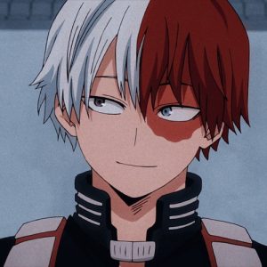 Shoto Todoroki Soft Anime Boy