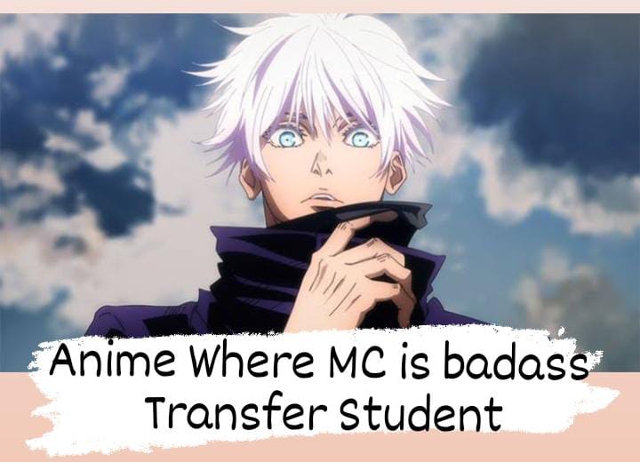 Top Anime where MC is badass Transfer Student