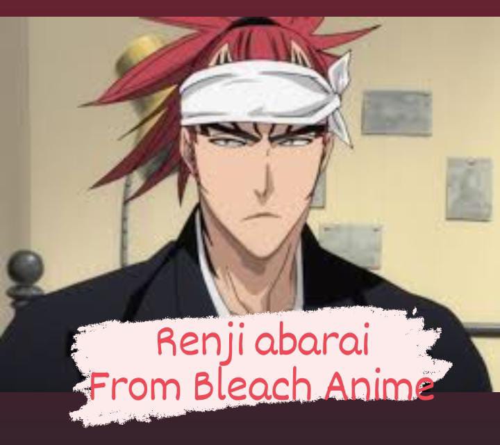 Renji Abarai from Bleach Anime