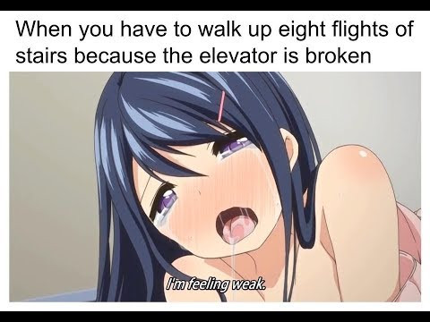 funny hentai memes