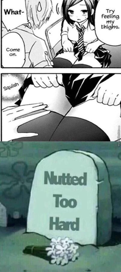 hentai meme 101