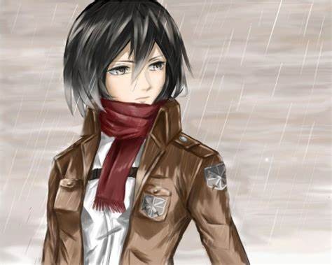 Mikasa Ackerman – Attack on Titan