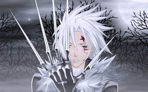 D.Gray Man