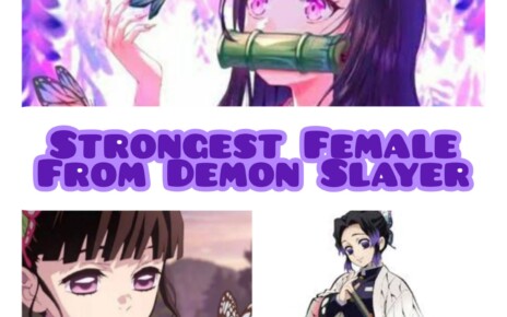 Strongest Female Characters from Demon Slayer