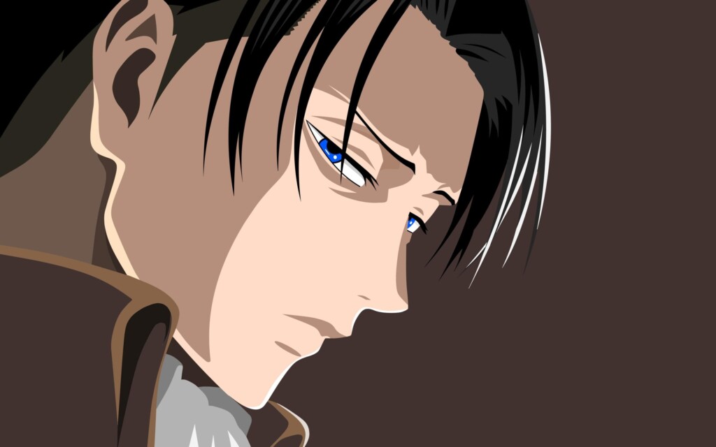 Levi Ackerman - Attack on titan 