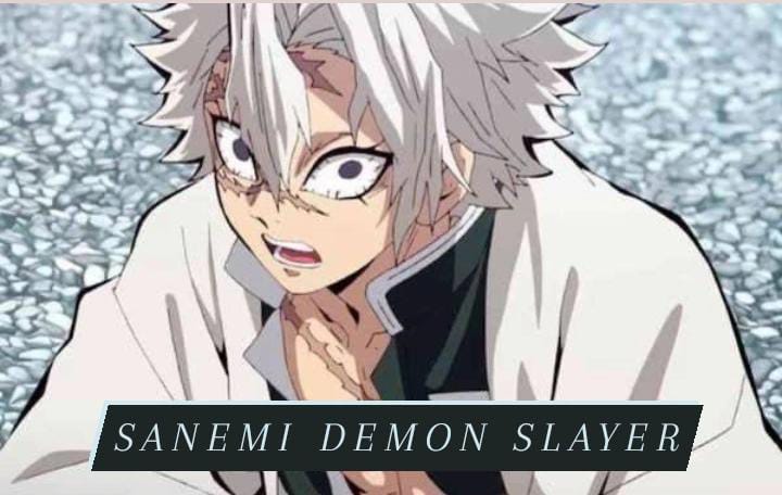 Sanemi Demon Slayer: Appearance - Personality